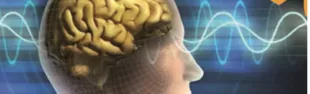 carotidi