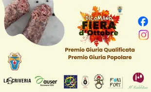 Disfida del bardiccio