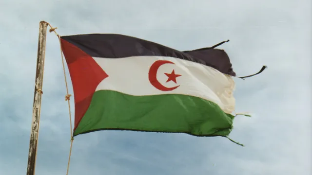 saharawi