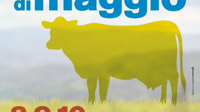fiera di maggio