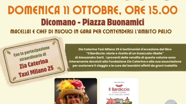 Disfida del bardiccio