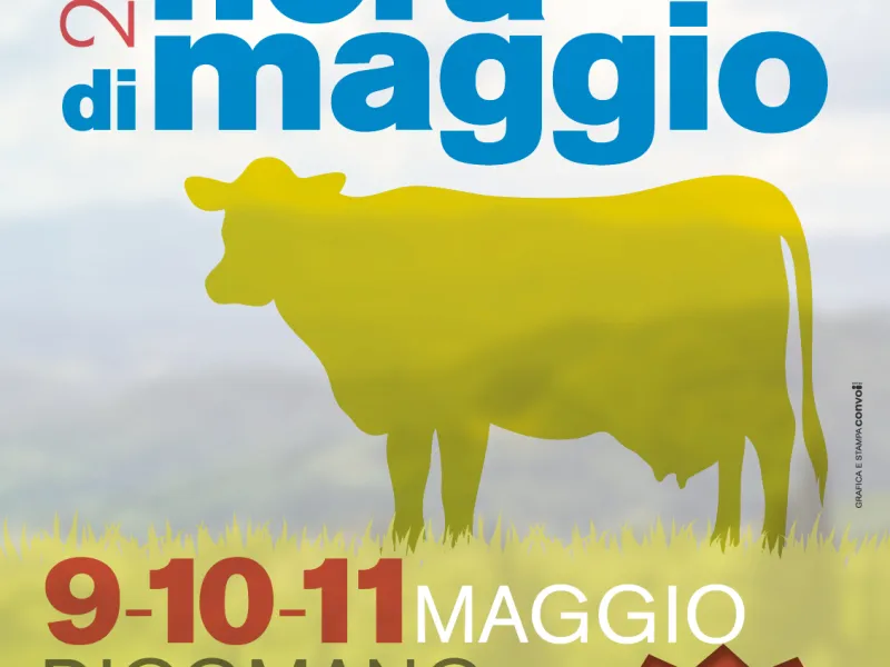 Fiera di maggio