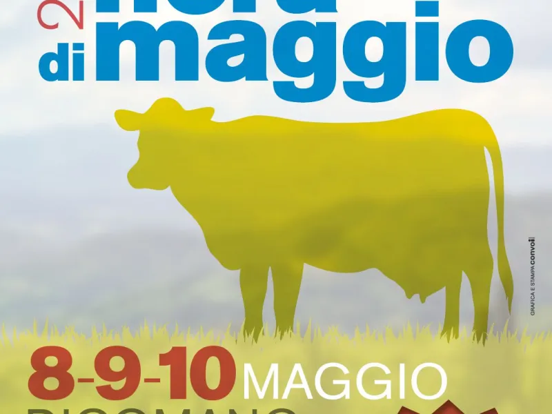 fiera di maggio