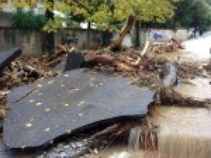 Descrizione immagine non disponibile