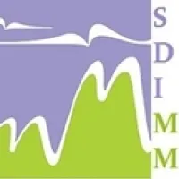 Sdimm
